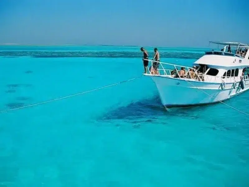 fishing trip hurghada boat