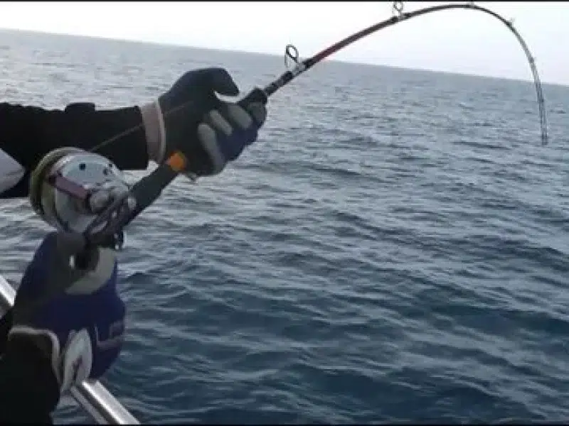 fishing trip hurghada boat