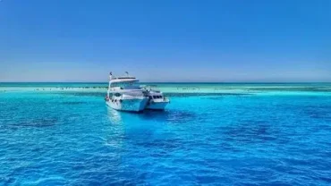 private mahmya island tour red sea