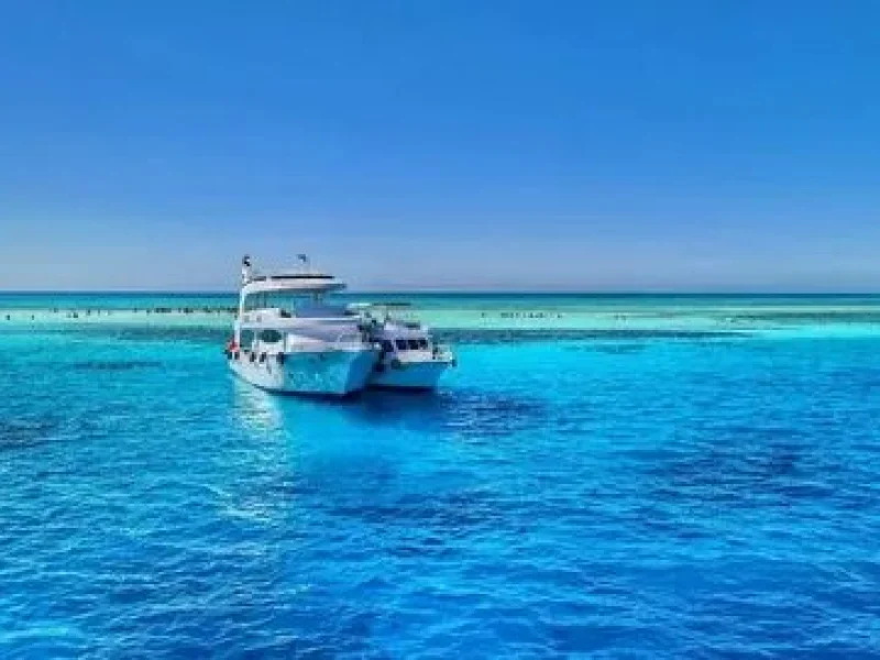 private mahmya island tour red sea