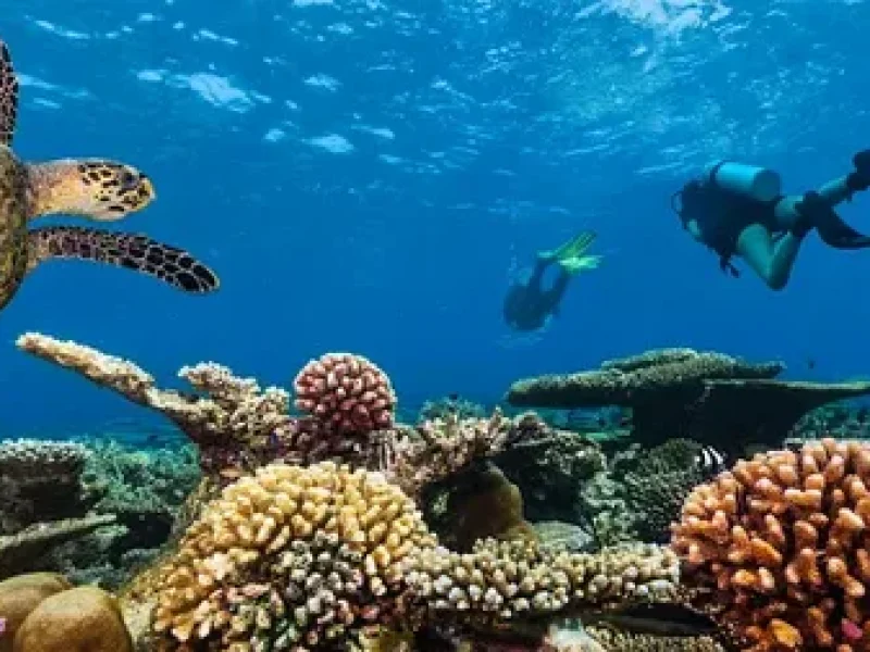 hurghada diving package equipment included