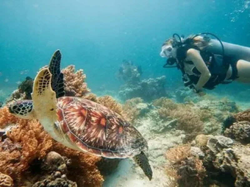 hurghada diving package equipment included