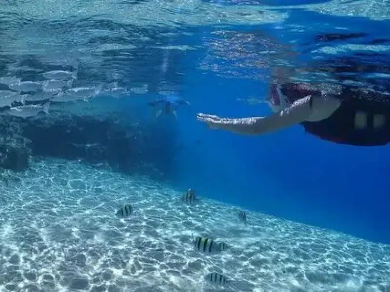 Best Coral Reef Snorkeling Sharm El Naga