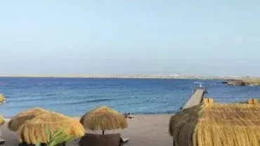 Best Coral Reef Snorkeling Sharm El Naga