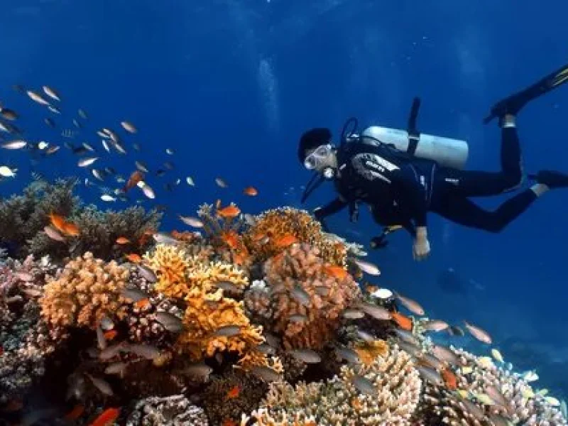hurghada diving sharm el naga trip booking