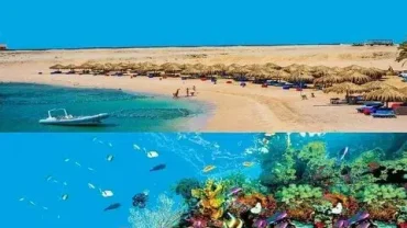 hurghada diving sharm el naga trip booking