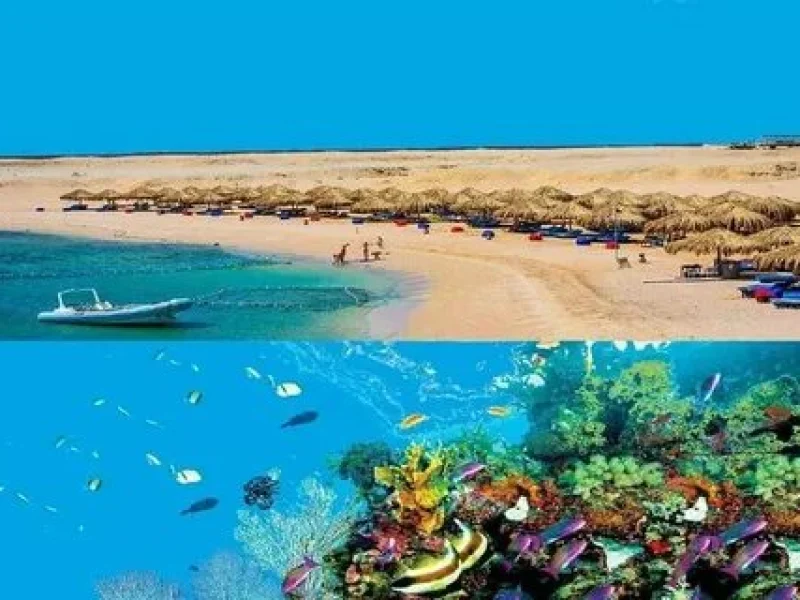 hurghada diving sharm el naga trip booking