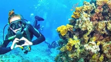 hurghada diving sharm el naga trip booking