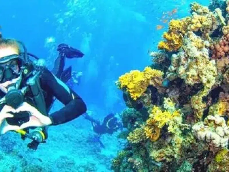 hurghada diving sharm el naga trip booking