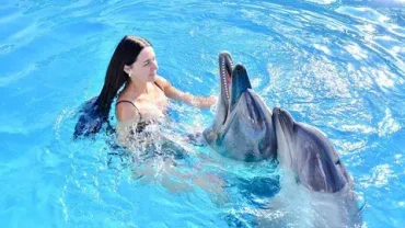 hurghada dolphin show experience booking