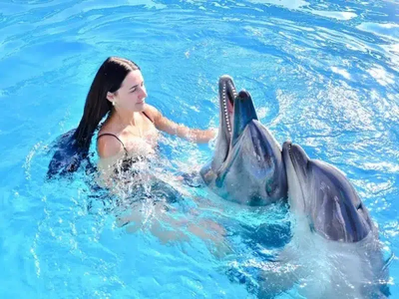 hurghada dolphin show experience booking