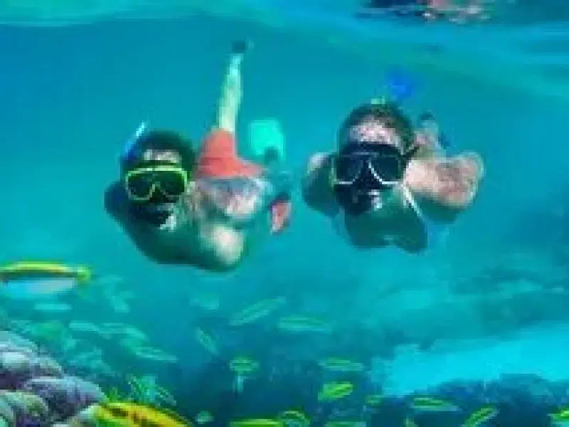 hurghada sea scope snorkeling alternative tour
