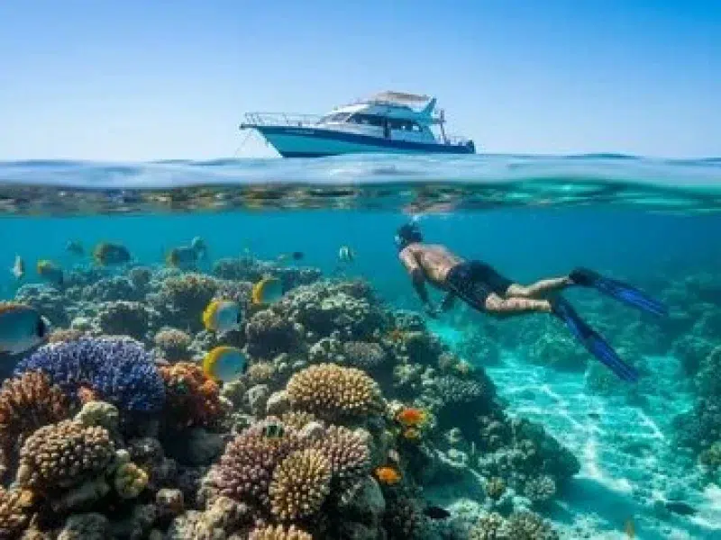 hurghada sea scope snorkeling alternative tour