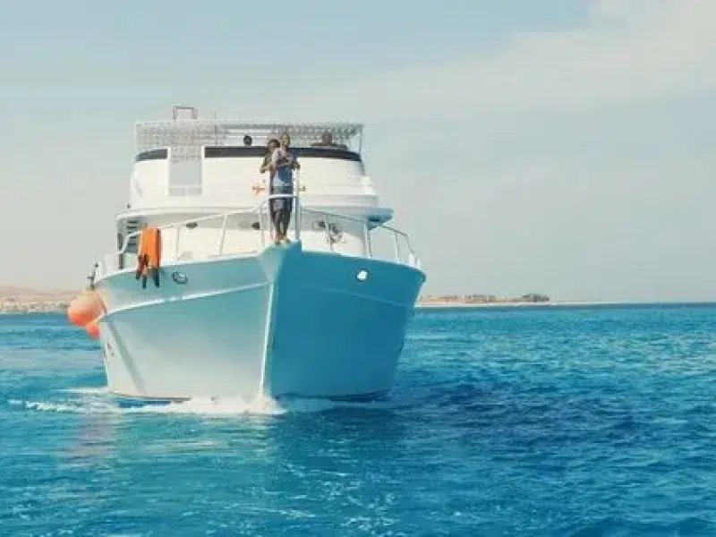 hurghada sport fishing tour