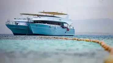hurghada sport fishing tour