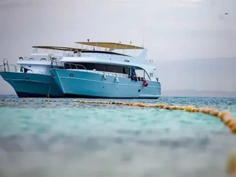hurghada sport fishing tour