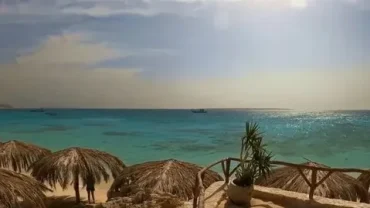 paradise island lunch included tour