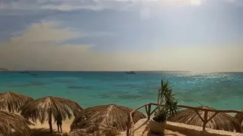 paradise island lunch included tour