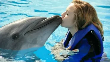 marine life dolphin house hurghada trip