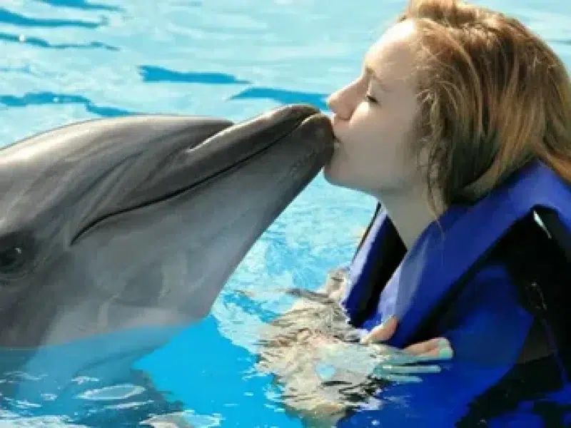 marine life dolphin house hurghada trip