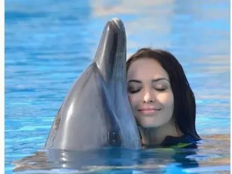 marine life dolphin house hurghada trip