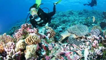 private diving experience hurghada egypt