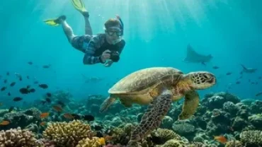 Best snorkeling spots Egypt: