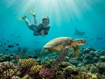 snorkeling trips from Soma Bay - vibrant coral reef scene
