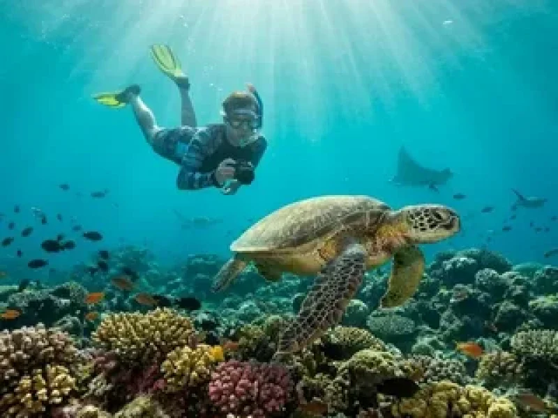 private diving experience hurghada egypt