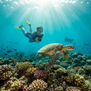 Hurghada Cruise Tours