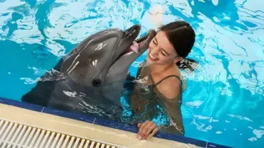 private dolphin house hurghada excursion