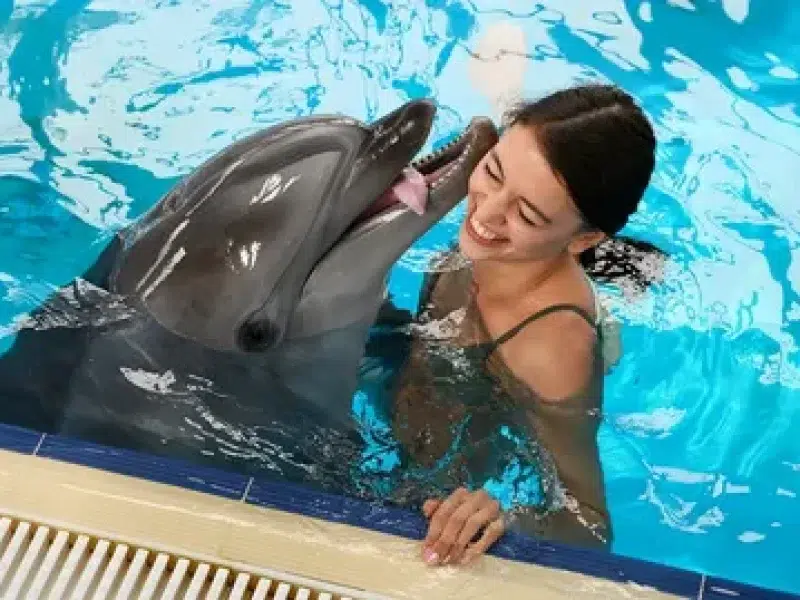 private dolphin house hurghada excursion
