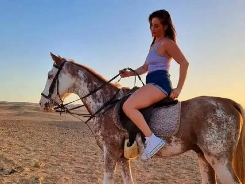 private horse riding experience hurghada egypt