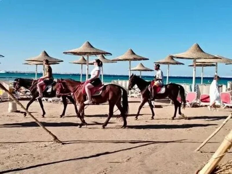 Cheap Horse Riding Hurghada Tour Booking