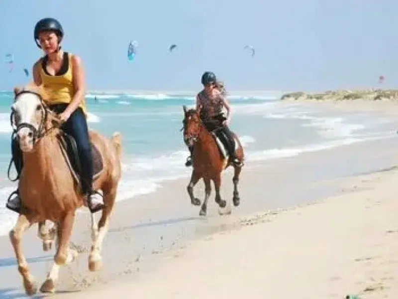 Cheap Horse Riding Hurghada Tour Booking