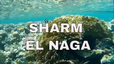 private snorkeling sharm el naga tour