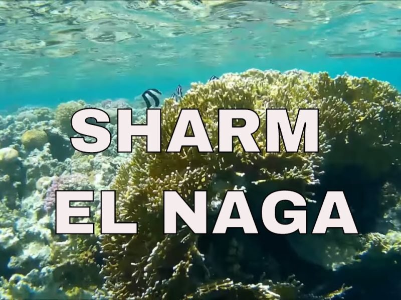 private snorkeling sharm el naga tour