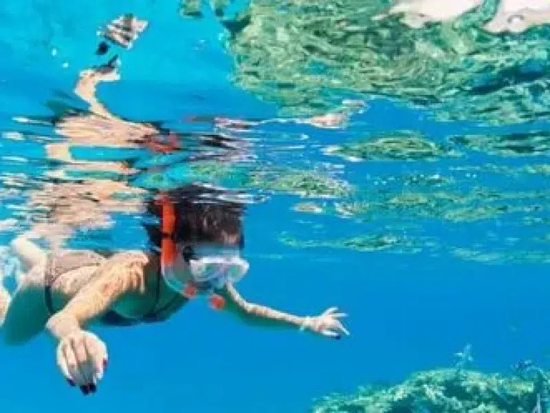 private snorkeling sharm el naga tour