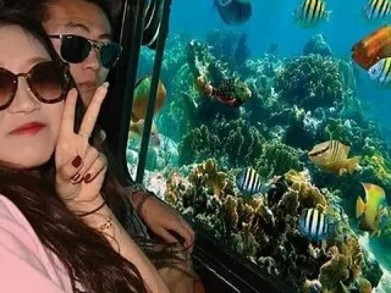 hurghada glass bottom boat tour price