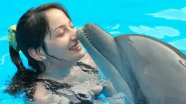 watch dolphin show hurghada red sea