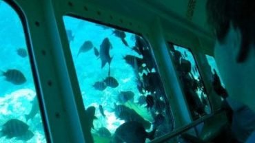 Sea Scope Hurghada with hotel transfer - underwater viewing experience