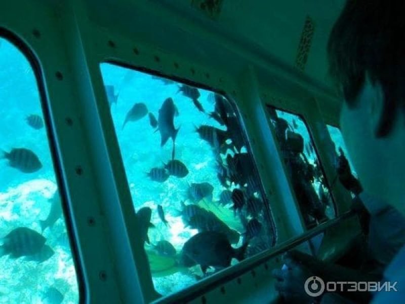 Glass boat trip Hurghada