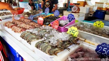Hurghada Fish Market Tour