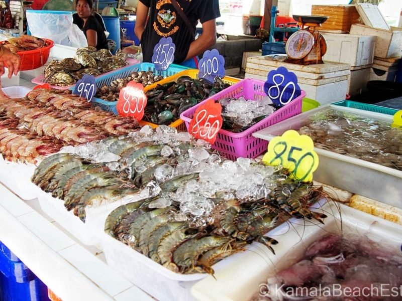 Hurghada Fish Market Tour