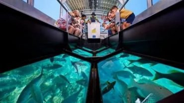 Hurghada Adventure Travel