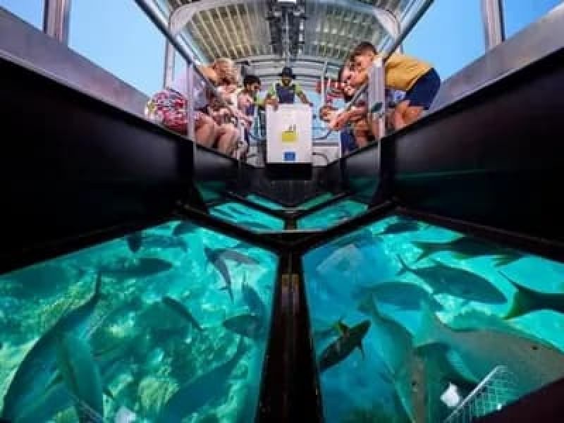 Red Sea Boat Trips