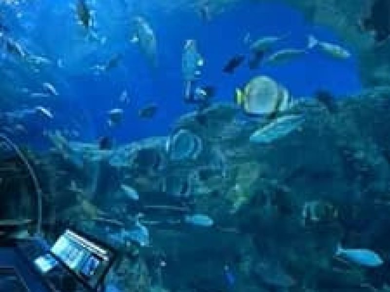 Hurghada grand aquarium