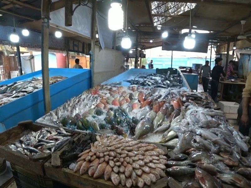 Hurghada Fish Market Tour
