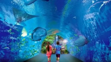 Hurghada grand aquarium