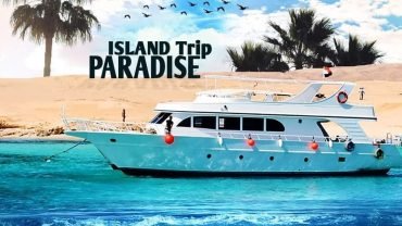 best island tours Hurghada 2026 - coral reef snorkeling